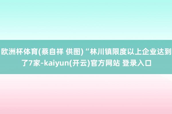 欧洲杯体育　(蔡自祥 供图)“林川镇限度以上企业达到了7家-kaiyun(开云)官方网站 登录入口