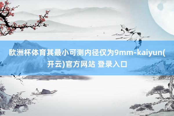欧洲杯体育其最小可测内径仅为9mm-kaiyun(开云)官方网站 登录入口