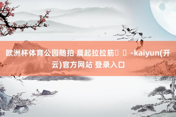 欧洲杯体育公园随拍 晨起拉拉筋☁️-kaiyun(开云)官方网站 登录入口