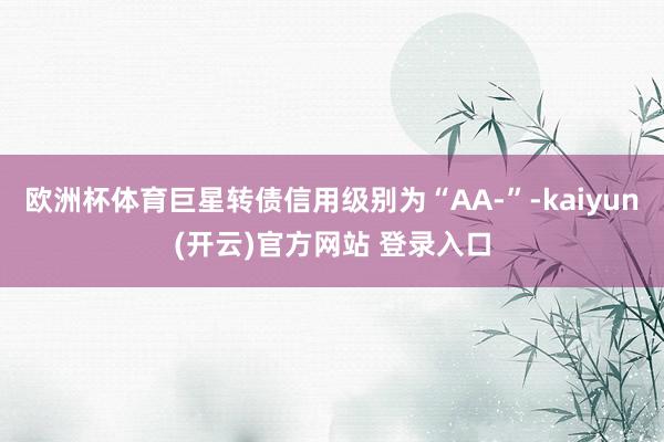 欧洲杯体育巨星转债信用级别为“AA-”-kaiyun(开云)官方网站 登录入口
