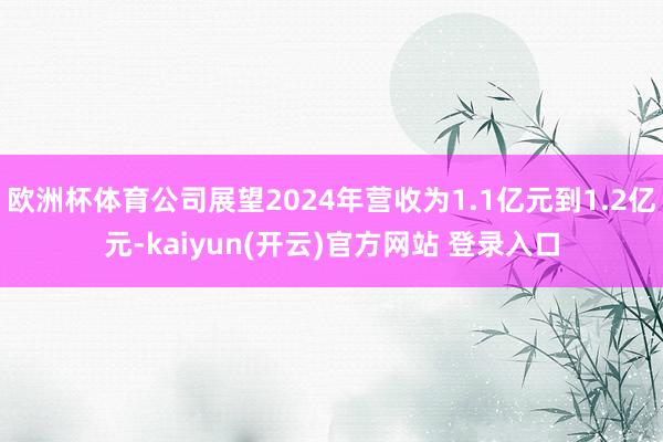 欧洲杯体育公司展望2024年营收为1.1亿元到1.2亿元-kaiyun(开云)官方网站 登录入口