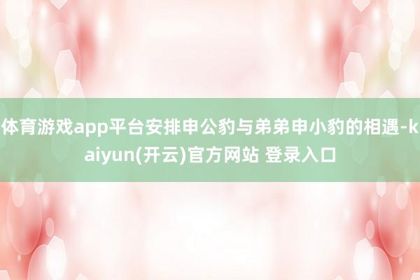 体育游戏app平台安排申公豹与弟弟申小豹的相遇-kaiyun(开云)官方网站 登录入口